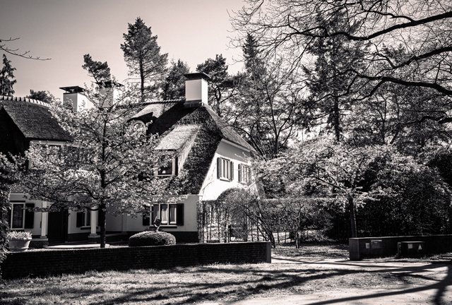 Aristoteleslaan, Zeist — foto van Tom Haak